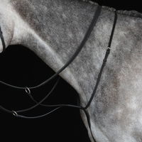 Running Martingale Iv